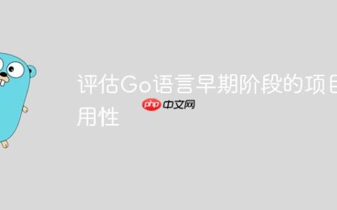 评估Go语言早期阶段的项目适用性