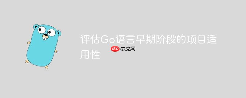 评估Go语言早期阶段的项目适用性
