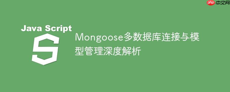 Mongoose多数据库连接与模型管理深度解析