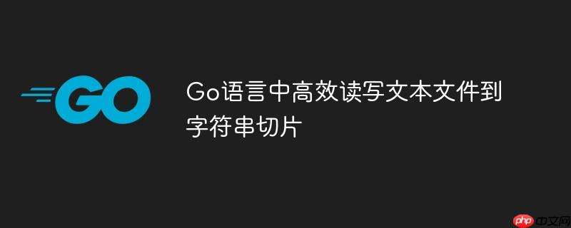 Go语言中高效读写文本文件到字符串切片