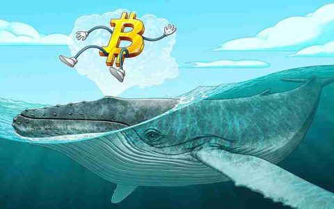 元老级比特币(BTC)玩家“信心动摇”评论引发社区热议
