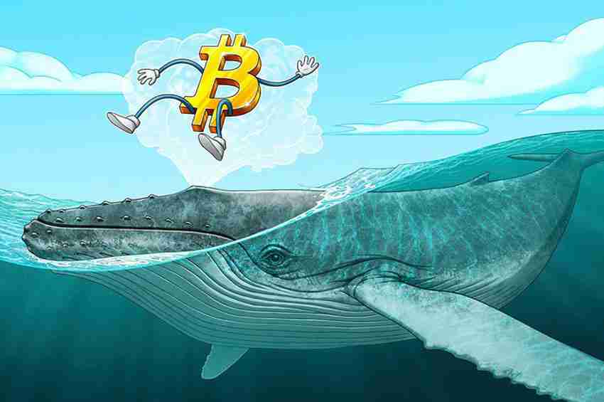 元老级比特币(BTC)玩家“信心动摇”评论引发社区热议