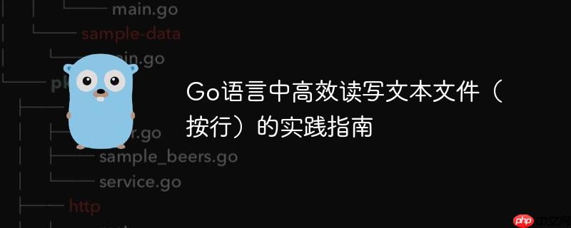 Go语言中高效读写文本文件(按行)的实践指南