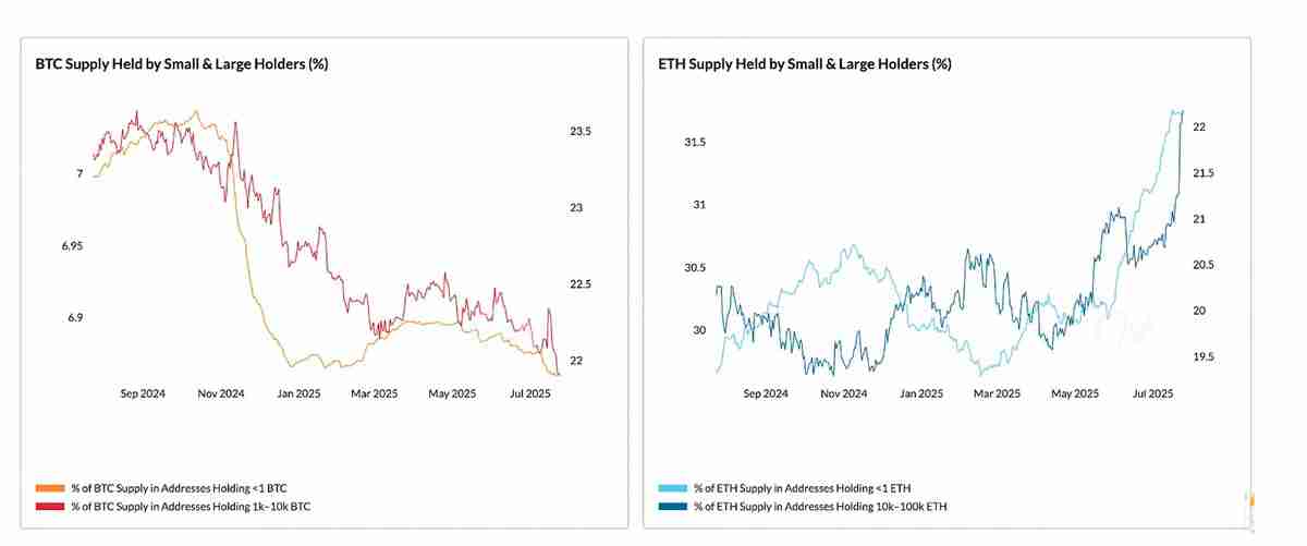 Coin Metrics深度分析:推动加密市场飙升至4万亿美元的关键因素