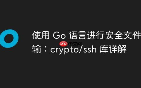 使用 Go 语言进行安全文件传输：crypto/ssh 库详解