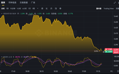TON币实时行情分析app 查看Toncoin今日价格k线走势