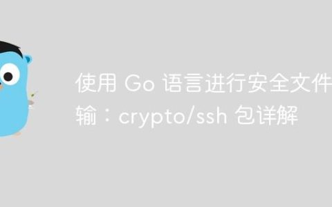 使用 Go 语言进行安全文件传输：crypto/ssh 包详解