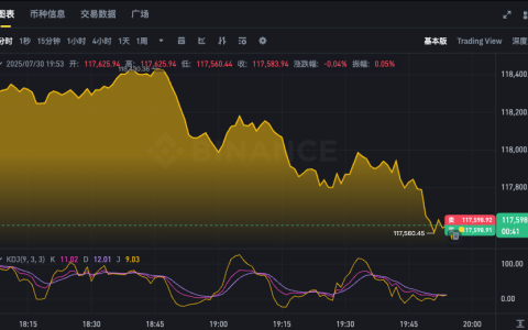 比特币24小时行情APP 实时查看BTC价格波动走势图