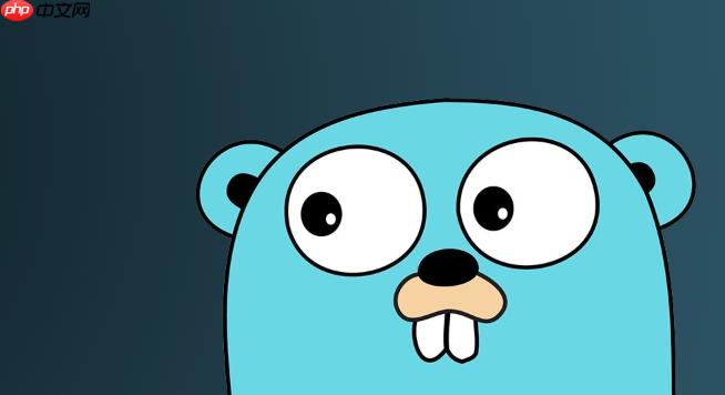 Golang接口设计:如何正确实现空接口类型断言