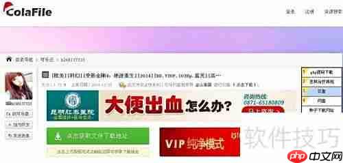 可乐云网赚网盘下载教程