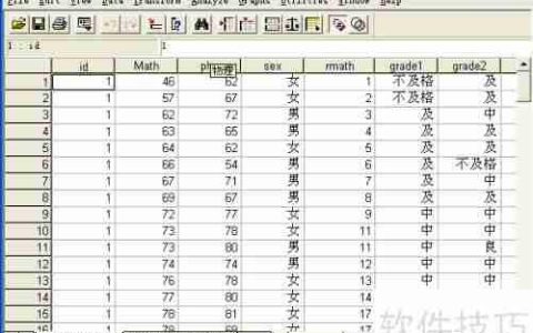 SPSS五大窗口功能详解