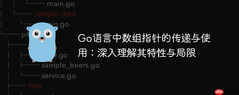 Go语言中数组指针的传递与使用:深入理解其特性与局限