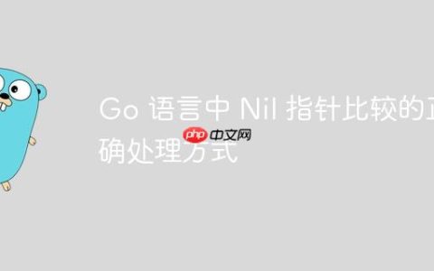 Go 语言中 Nil 指针比较的正确处理方式