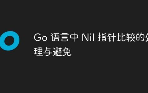 Go 语言中 Nil 指针比较的处理与避免