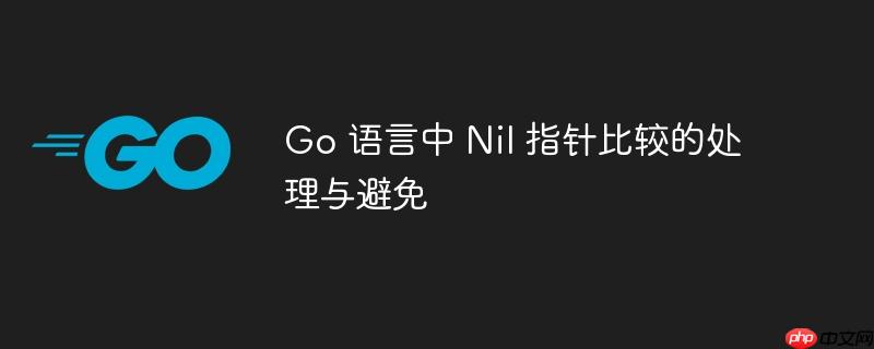 go 语言中 nil 指针比较的处理与避免