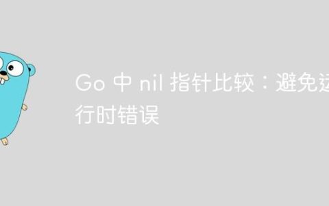 Go 中 nil 指针比较：避免运行时错误