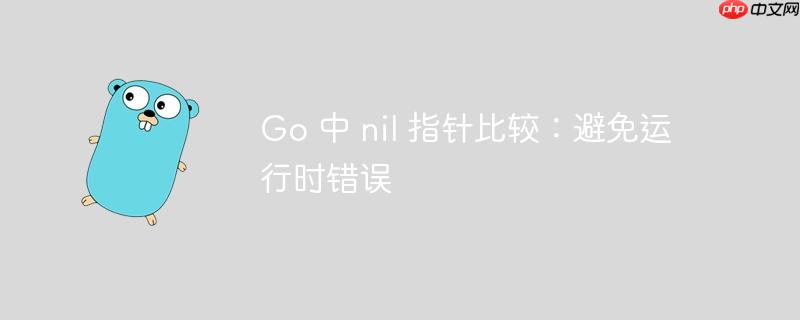 go 中 nil 指针比较：避免运行时错误