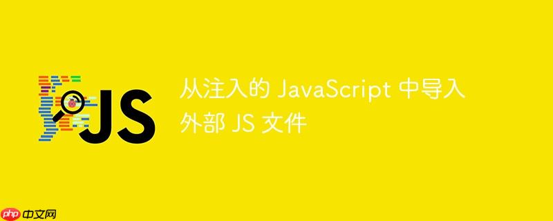 从注入的 javascript 中导入外部 js 文件