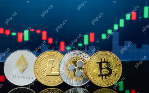 加密货币转错链还能追回吗 币圈常见误操作后的应急处理