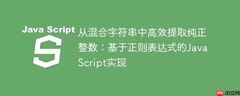 从混合字符串中高效提取纯正整数:基于正则表达式的JavaScript实现