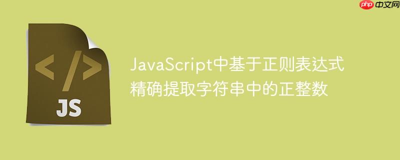 JavaScript中基于正则表达式精确提取字符串中的正整数