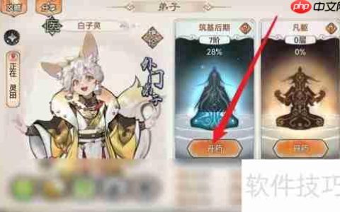 最强祖师金元丹使用攻略