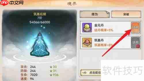 最强祖师金元丹使用攻略