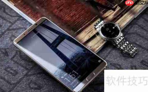 Mate 10全网通版4GB RAM