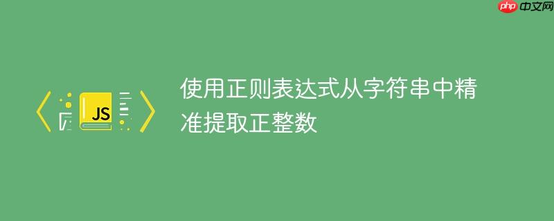 使用正则表达式从字符串中精准提取正整数