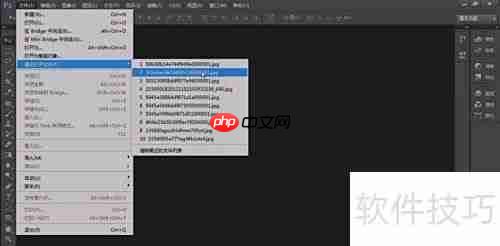 Photoshop CS5打开文件方法
