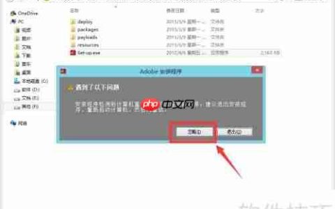 Flash CS6安装指南