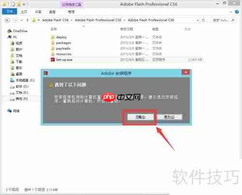 Flash CS6安装指南