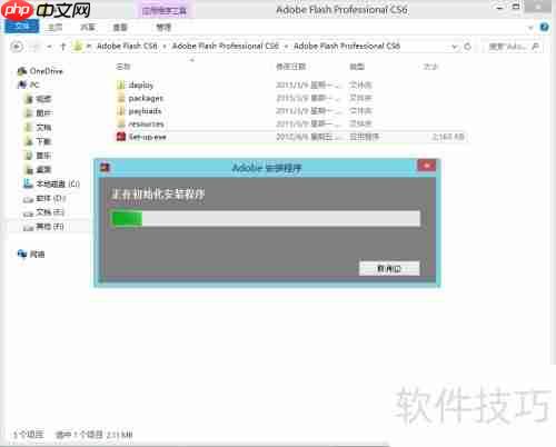 Flash CS6安装指南