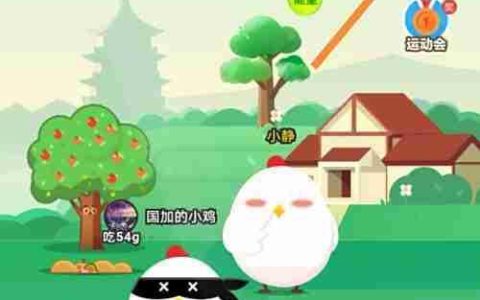 小鸡星秀套装装扮攻略