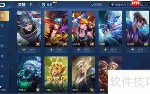 王者荣耀星元套装穿戴指南
