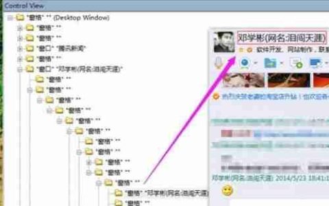 DirectUI文本获取方法
