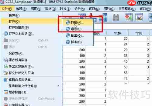 SPSS多选题统计分析技巧
