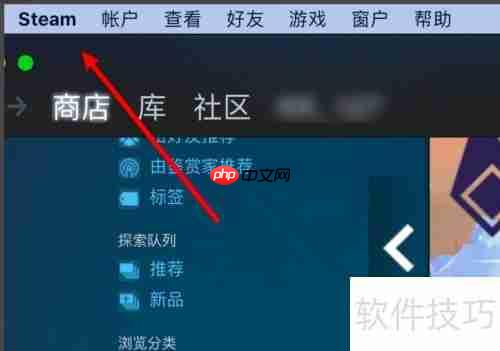 Steam库界面大图标设置方法