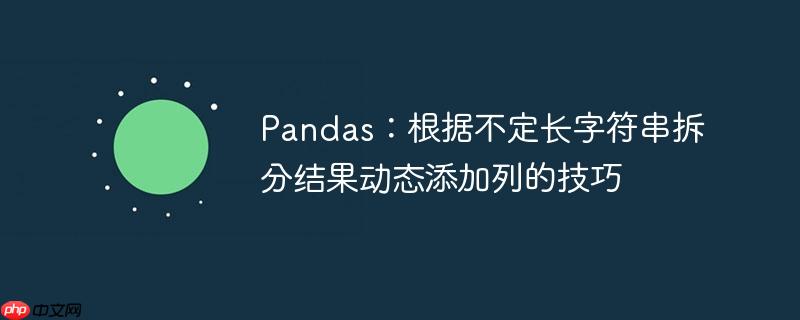 Pandas:根据不定长字符串拆分结果动态添加列的技巧
