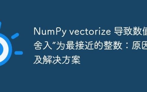 NumPy vectorize 导致数值“舍入”为最接近的整数：原因及解决方案