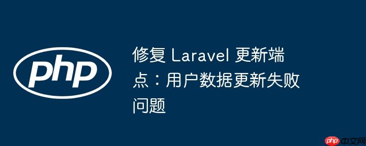 修复 laravel 更新端点:用户数据更新失败问题