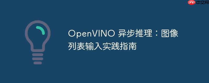 openvino 异步推理:图像列表输入实践指南
