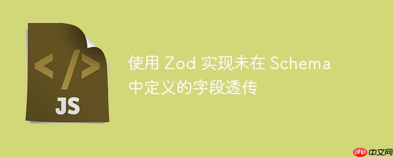 使用 zod 实现未在 schema 中定义的字段透传