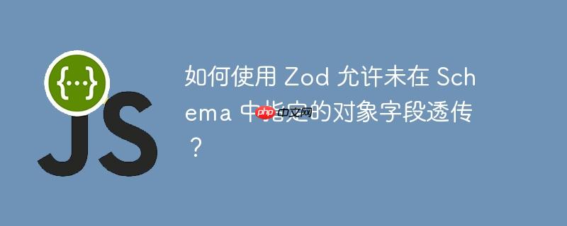 如何使用 zod 允许未在 schema 中指定的对象字段透传?