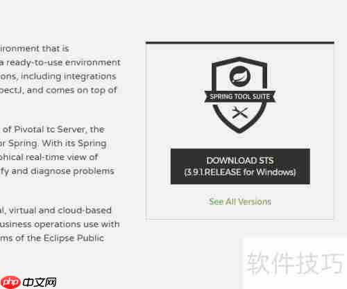 STS下载与安装指南