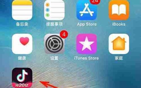 抖音购物助手使用指南