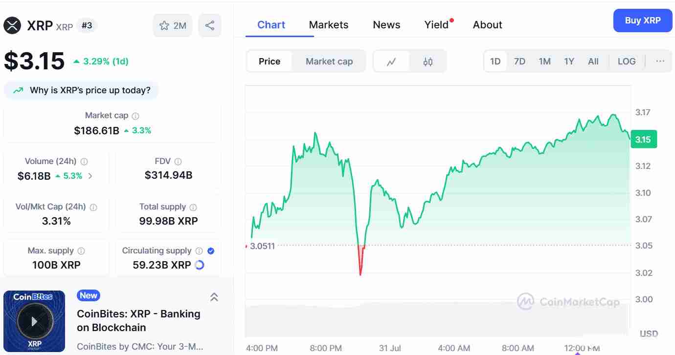 XRP币月度收盘价突破3.03 美元,未来价格如何?XRP 价格预测 2025-2030年