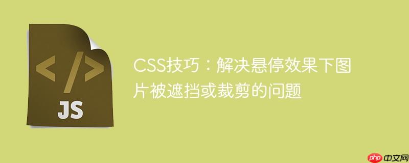 CSS技巧:解决悬停效果下图片被遮挡或裁剪的问题