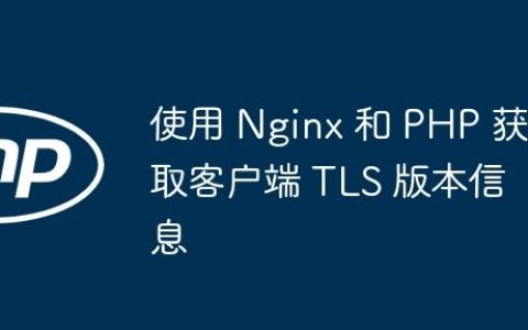 使用 Nginx 和 PHP 获取客户端 TLS 版本信息