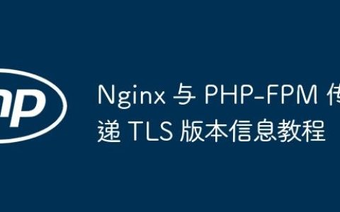 Nginx 与 PHP-FPM 传递 TLS 版本信息教程